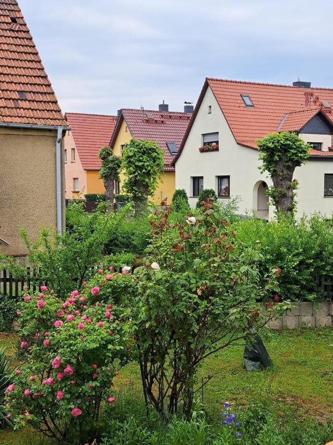 Ferienwohnung Rosengarten Ballenstedt Exterior photo
